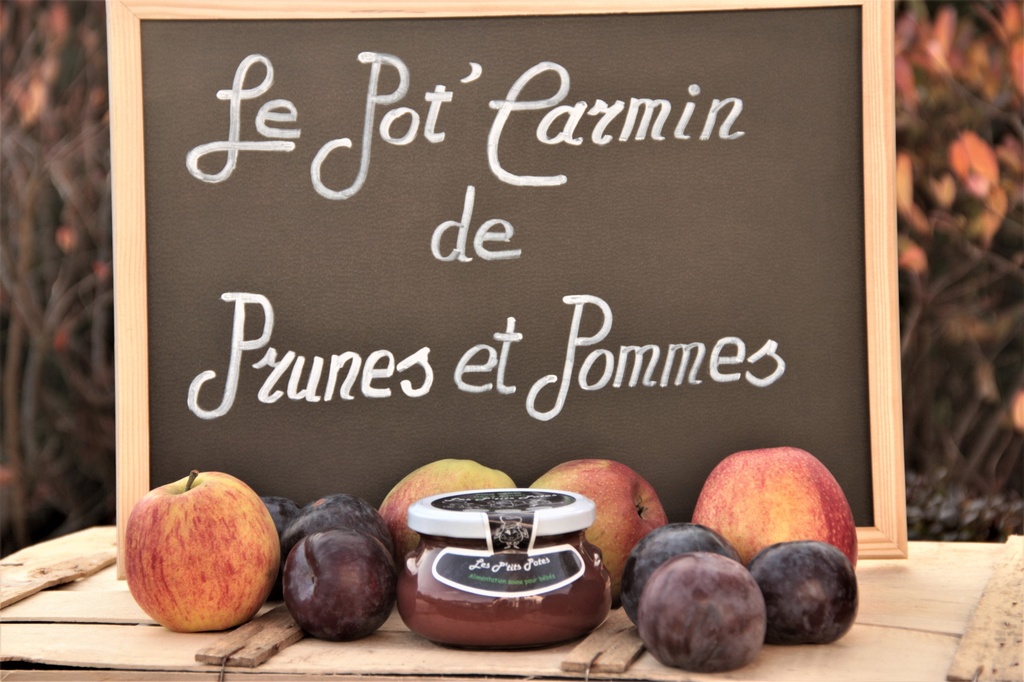 P'tits Potes pour bébés et enfants de prunes et pommes