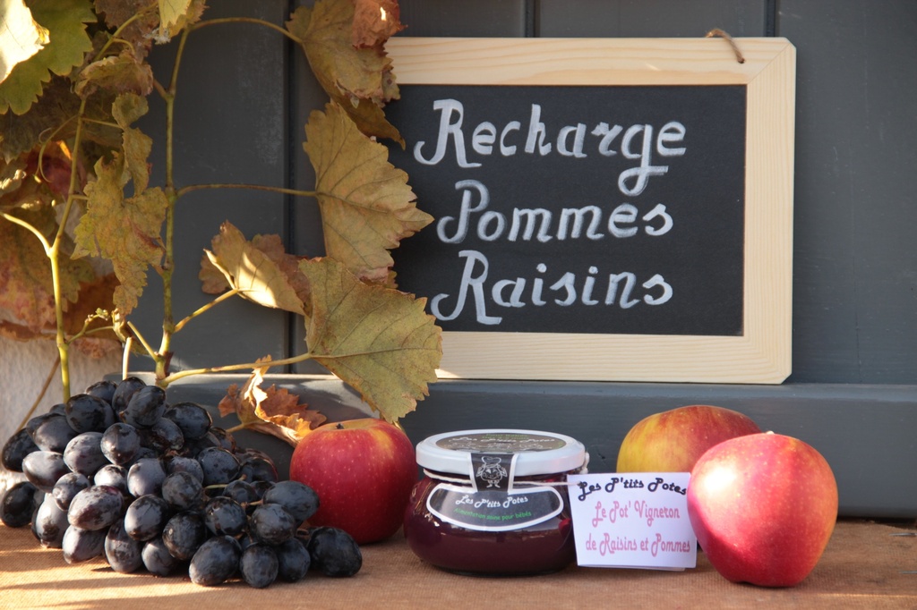 Recharge pour gourde réutilisable de raisins et pommes